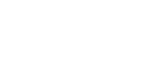 ANP Logo